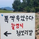 폭삭 속았쑤다 촬영지 왔어요~~ 이미지
