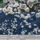 광주과학고등학교 이미지