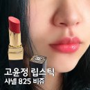 핑크비쥬 | 고윤정 립스틱으로 유명한 샤넬 루쥬 코코 플래쉬 825 비쥬 내돈내산 발색 후기
