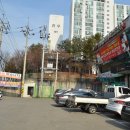 월수금통돼지 이미지