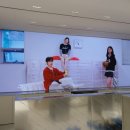 윈스타비투비