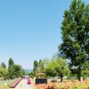 반딧불 목장 이미지