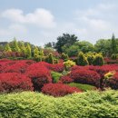 청산별 | 자연 속 힐링여행, 청산수목원 후기 | 인생샷 명소까지 총정리!