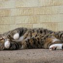 영어와 Craft 이미지