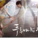 푸른바다음악학원 네이버블로그