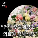 섬김장례 | 천안 상조업체 추천 장례비용 걱정 덜어드린 사연