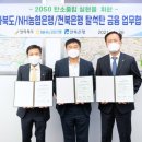 은행청과 이미지