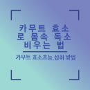 중일약국 | 카무트 효소로 몸속 독소 비우는 법 (+카무트 효소효능,섭취 방법)
