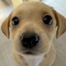 호연반점 | 이건 8월이야