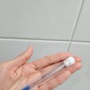 올리래쉬