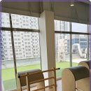 미필라테스 이미지