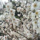 (주)티제이팜 이미지