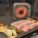 풀돌나무 이미지