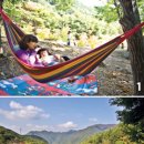 치악산자연휴양림 이미지