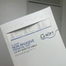 범계연세정형외과의원 | [14~16주] 안정기 돌입!! 니프티 결과 확인, 16주 말 태교여행 고고링