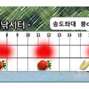 버들낚시터 이미지