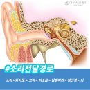 다비치히어링 군산나운점 이미지