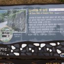 구성마을 입구  구성마을 이미지