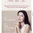 휘겔리 스위트 이미지