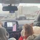 GS25 주문진교항점 | [강원도 강릉/주문진] 애견동반 4박 5일 뚜벅이 여행 기록