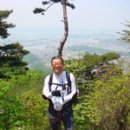 최보경공인중개사사무소 이미지