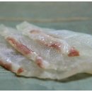 선 스시 이미지