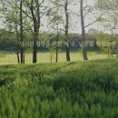 해전농장 이미지