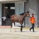 남매목장 이미지