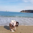씨유장생포고래점 | 울산 대왕암공원에서 버스타고 일산해수욕장