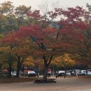 하늘공원(하부) 이미지