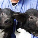 씨앤비(주) 이미지