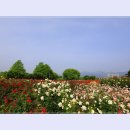 곡성-079 이미지