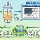 플라스틱 | 세계김치연, 김치 부산물 무 껍질 친환경 바이오플라스틱 원료 재활용 기술 개발 | 전자신문 이미지