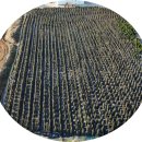 영상농장 이미지