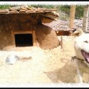 자개골흙집 이미지