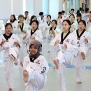 대영태권도장 이미지