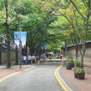 덕수선물카페 | 곳 아이와 가볼만한 시청역 근처 광화문 일정 추천 덕수궁 돌담길 전시 맛집 카페 소품샵 문구 선물 정보