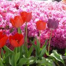 정부대전청사 이미지