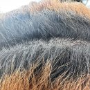 건영백두산사우나 이미지