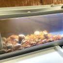 고가네영덕대게 이미지