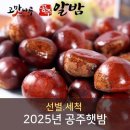 밤