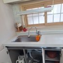 푸조와곰솔 이미지