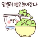 석정초등학교 이미지