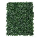 별동자리 이미지