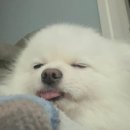 소원동물병원 이미지