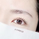 보떼미헤어