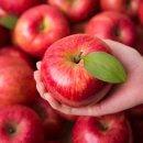 수덕농장 이미지