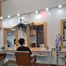 살롱드디체 네이버블로그