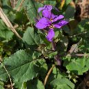 용담농장 이미지