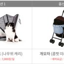 펫택시펫카 이미지